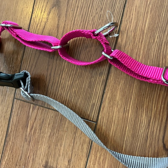 Easy, walk, harness - Picture 3 of 3